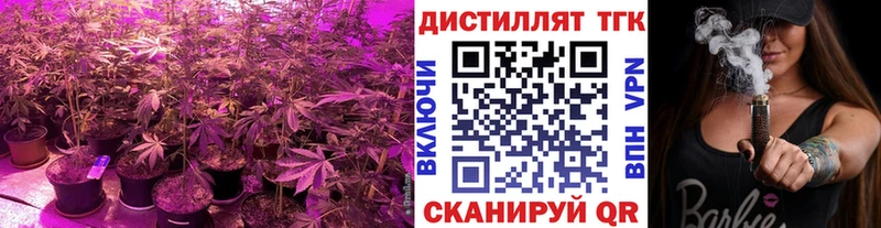ТГК Wax  магазин    Карачаевск 