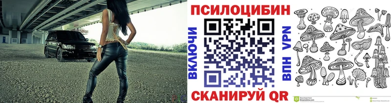 гидра tor  хочу   Карачаевск  Псилоцибиновые грибы Psilocybine cubensis 