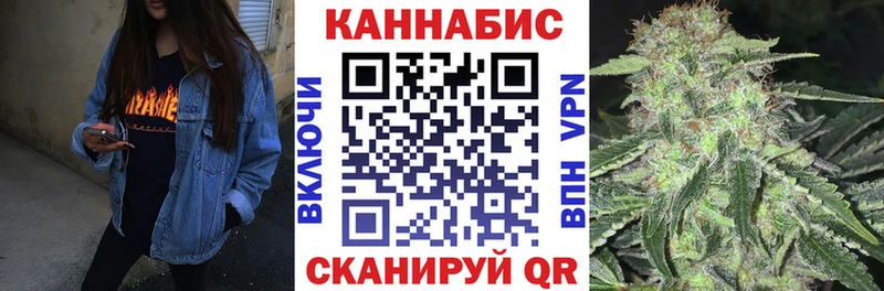 Конопля план Карачаевск