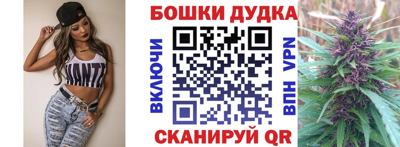 Бошки марихуана гибрид купить закладку Карачаевск